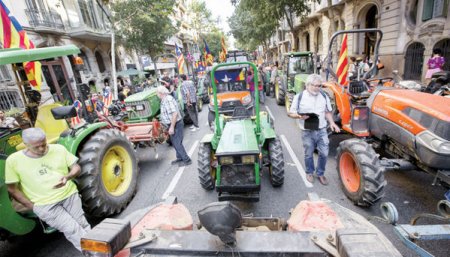 Kataloniyada yaralıların sayı 460 nəfəri ötdü - 