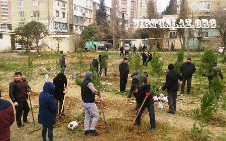 Nəsimi İH və "EDiF" MTK Leyla Əliyevanın təşəbbüsünə qarşı- 