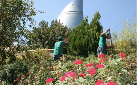 Bakı Abadlıq Xidməti MMC milyonlarla dolları göyə sovurur