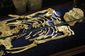 Bakıda evdən qadın skeleti tapıldı