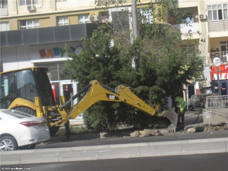 Razim Məmmədov ilə komitə sədri “Ukrayna dairəsi”ndə ağac qoymadı: