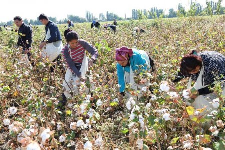 Qeyri-neft sektorunun stratjei inkişaf proqramı -