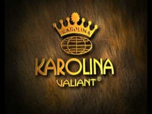 “Karolina Valiant”ı vergilər yoxlayır..