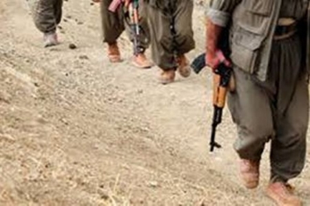 Beş PKK terrorçusu təhlükəsizlik qüvvələrinə təslim oldu