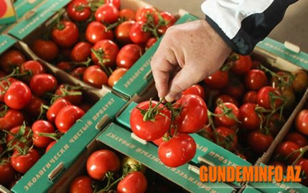 15 tondan çox Azərbaycan pomidoru Rusiyaya buraxılmadı