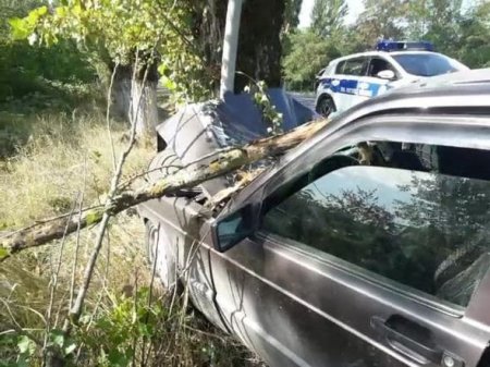 "Mercedes" ağaca çırpıldı: bir ölü, üç yaralı - 