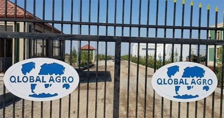 Aqrar sektorda ""Qlobal aqro" hegemonluğu -