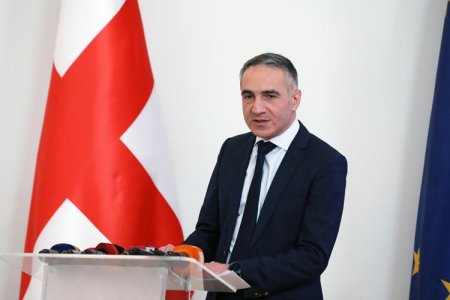 Gürcüstanda nazir istefa verib