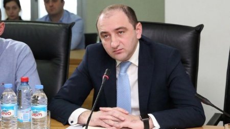 Gürcüstanın biznes ombudsmanı və müavini istefa verib