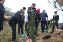 Bu gün Nizami rayonunda 5 növdə 1200 ədəd ağac əkildi Bu gün Nizami rayonunda 5 növdə 1200 ədəd ağac əkildi