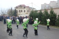 Bu gün Nizami rayonunda 5 növdə 1200 ədəd ağac əkildi Bu gün Nizami rayonunda 5 növdə 1200 ədəd ağac əkildi