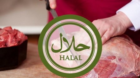 Bakıda "Halal" sertifikatı verən şirkət cərimələndi