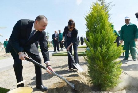 Prezident və xanımı Şamaxıda ağac əkdi