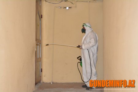 Tərtər rayonunda inzibati binalarda dezinfeksiya işləri davam etdirilir - 