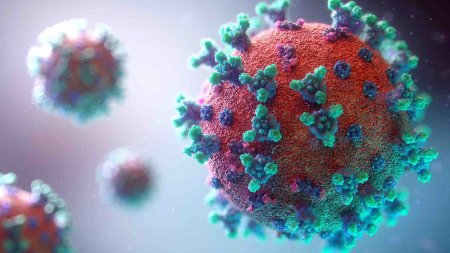 Alimlər yeni növ koronavirusun 200-ə yaxın mutasiyasını müəyyənləşdirib