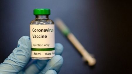 Azərbaycanlı professor koronavirusa qarşı vaksin hazırlayır - 