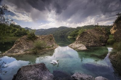 Göygöl Milli Parkı ərazisində donuz ferması - 