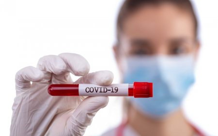 Gürcüstanda daha 44 nəfər koronavirusa yoluxub