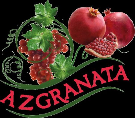 "Azgranata" karantin qaydalarını pozdu - 