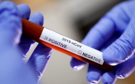 Yeni koronavirus vaksini dayanıqlı immunitet yaradır