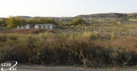 Cəbrayıldan yeni - 