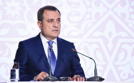 "Azərbaycan siyasi müstəvidə də uğur qazanıb" - 