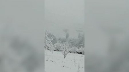 Laçın bəyaz örpəyə büründü - 