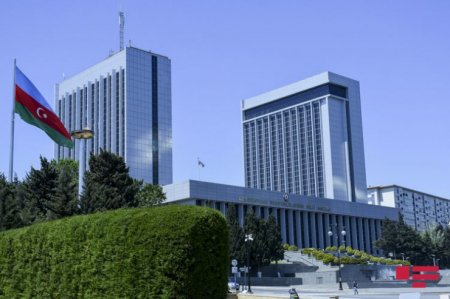  Şəhid ailələrinə daha bir güzəşt - 