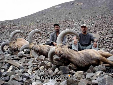 “Sədərək Yusif”in oylağı: Hər il kütləvi ov edir -