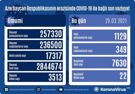 1129 nəfər COVID-19-a yoluxdu - 