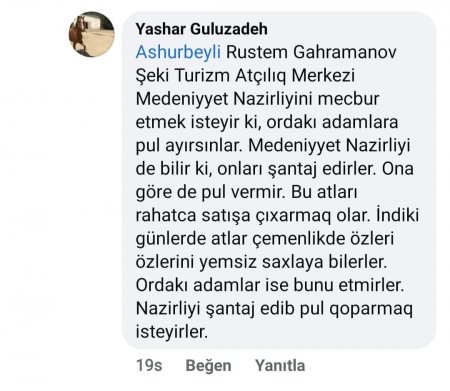 Şəkidə biabırçılıq: Dilsiz-ağızsız heyvanları ölümə məhkum ediblər - 