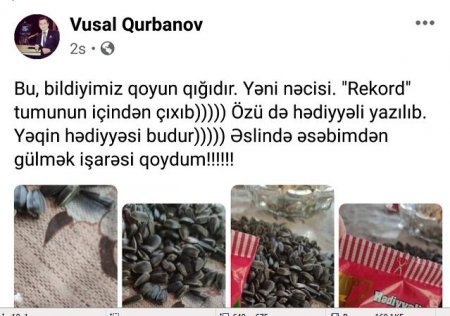 “REKORD” TUMUNUN İÇİNDƏN GÖRÜN NƏ ÇIXDI - 