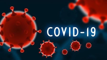 Gürcüstanda daha 30 nəfər koronavirusdan ölüb