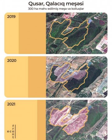 Muxtar Babayevin adamlarının "uzaqgörənliyi" və Qusarda məhv edilən meşə zolağı