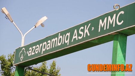 Biləsuvar pambıqçıları nədən narazıdır? 