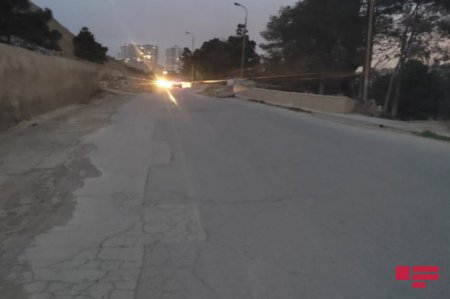 Badamdar yolu açıldı - 