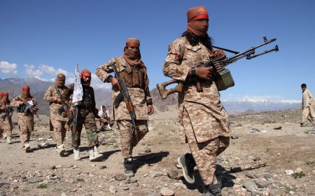 "Taliban" 95 minlik yeni ordu formalaşdırır