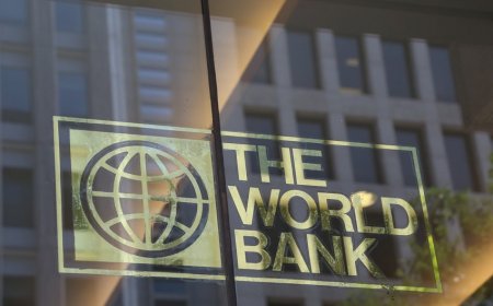 Dünya Bankı Ukraynada ali təhsilə 100 milyon dollar ayırıb