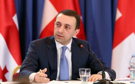 Gürcüstanın Baş naziri “Borjomi” ilə bağlı göstəriş verib