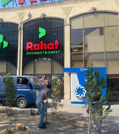 “Rahat Market”in qarşısında ağacları kəsib yerində yenilərini əkdilər 