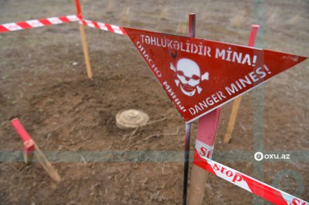 ANAMA: “2020-ci ilin noyabrından indiyədək mina partlaması nəticəsində 49 nəfər ölüb”