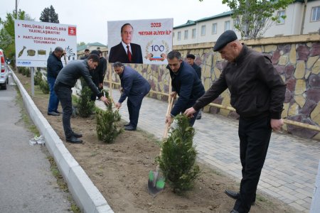 “Heydər Əliyev ili” çərçivəsində Tərtərdə növbəti ağacəkmə aksiyası keçirilib