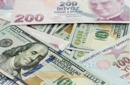   Lirə dollar qarşısında tarixi minimuma düşdü