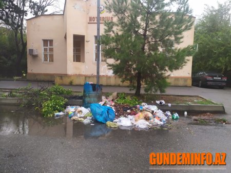 Ucarda başçının müavini "Dost"la necə dostluq edir?