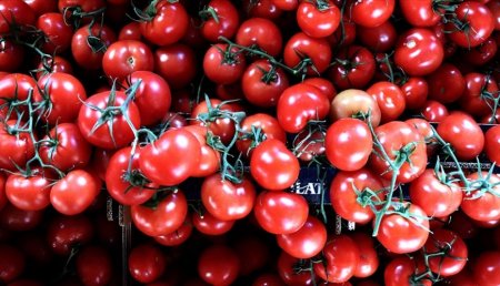 Rusiya pomidor idxalını da rüsumlardan azad edir