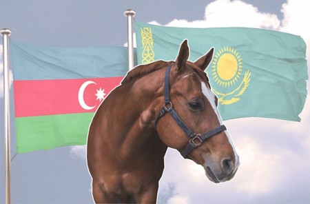Diri atı 340 manata Qazaxıstana satıb, kiloqramı 2,9 manata Qazaxıstandan at əti alırıq –