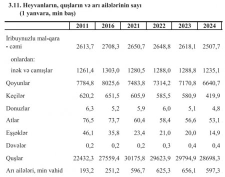 Azərbaycanda eşşəklərin sayı azalıb  