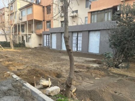 Nərimanovun icra başçısı Prezidentin qadağasını pozdu – 