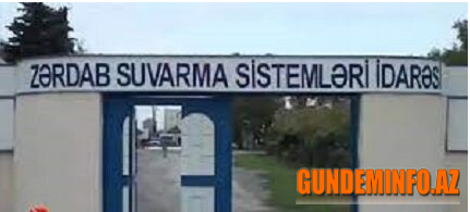 Zərdabda meşə zolağını bir məmur məhv edir  -