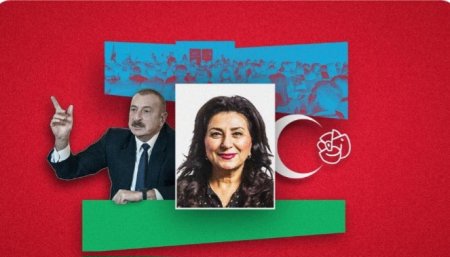 Komitənin yanlış seçimi, yoxsa... - 